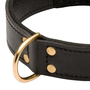 Brass D-ring Stitched to Leather Doberman Collar