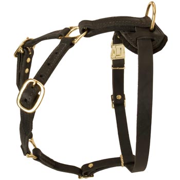 Tracking Leather Dog Harness for Doberman