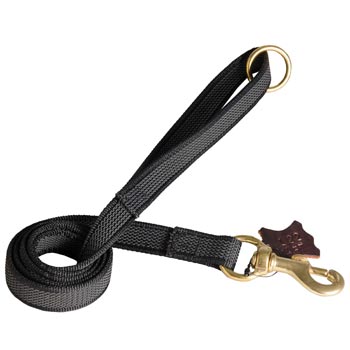 Nylon Leash for Doberman Training will Help to Achieve Great Results