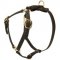 Y-Shaped Leather Doberman Harness for Tracking and Training
