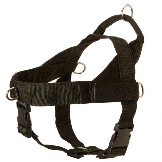 Doberman Harness Nylon with Patches