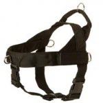 Doberman Harness Nylon with Patches