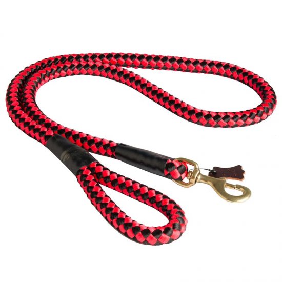 Nylon Cord Doberman Leash for Walking and Training