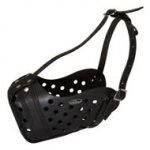 Easy Adjustable Leather Doberman Muzzle for Agitation Training
