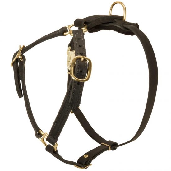 Y-Shaped Leather Doberman Harness for Tracking and Training