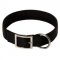 2 Ply Nylon Doberman Collar