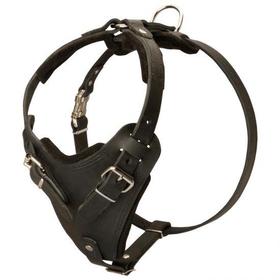 Protection Leather Doberman Harness for Attack / Agitation Dog Training