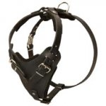 Protection Leather Doberman Harness for Attack / Agitation Dog Training