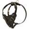Protection Leather Doberman Harness for Attack / Agitation Dog Training