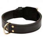 Training 2 Ply Leather Doberman Collar