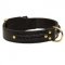 Incredible Design Doberman Braided Leather Collar