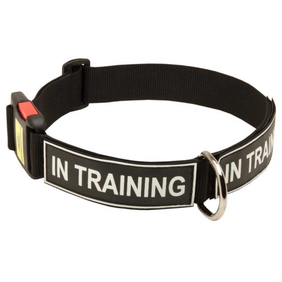 All Weather Nylon Doberman Collar with ID Patches - Click Image to Close