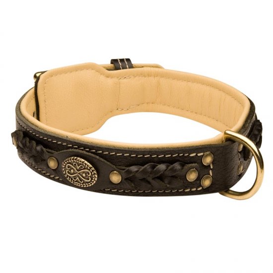 Doberman Leather Collar Braided