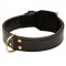 Training 2 Ply Leather Doberman Collar