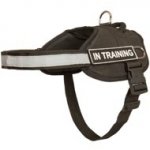Nylon Doberman Harness with Reflective Strap for Training, Walking, Police Service, SAR and More