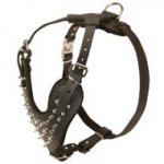 Spiked Leather Doberman Harness for Fashionable Walking