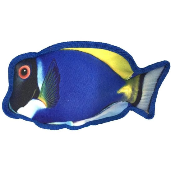 10" Tropical Blue Tang - Click Image to Close