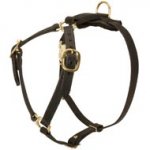 Y-Shaped Leather Doberman Harness for Tracking and Training