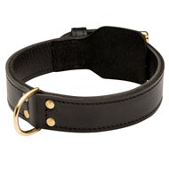 Training 2 Ply Leather Doberman Collar
