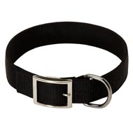 2 Ply Nylon Doberman Collar