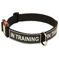 All Weather Nylon Doberman Collar with ID Patches