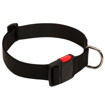 Nylon Doberman Collar for Training and Waling