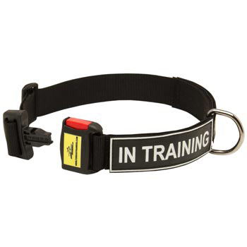 Nylon Dog Collar for Doberman Police Training