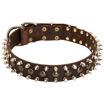 Doberman Leather Collar with Stylish Decoration