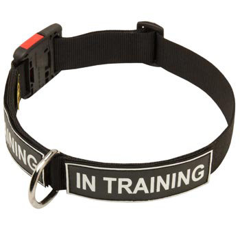 Nylon Doberman Collar With ID Patches