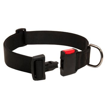 Reliable Nylon Doberman Collar
