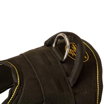 Heavy Duty Handle of Doberman Harness