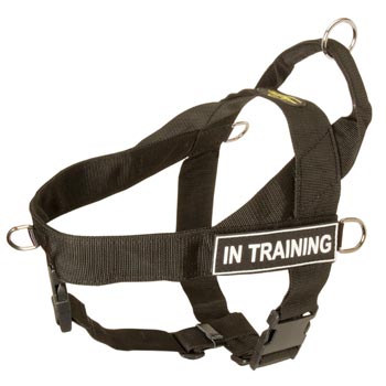 Doberman Nylon Harness with ID Patches