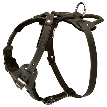 Leather Dog Harness for Doberman Off Leash Training