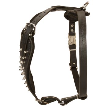 Adjustable Leather Harness for Doberman