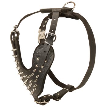 Spiked Leather Harness for Doberman Walking