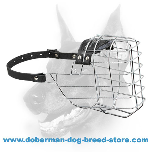'The Silencer' Wire Cage Doberman Muzzle With One Strap