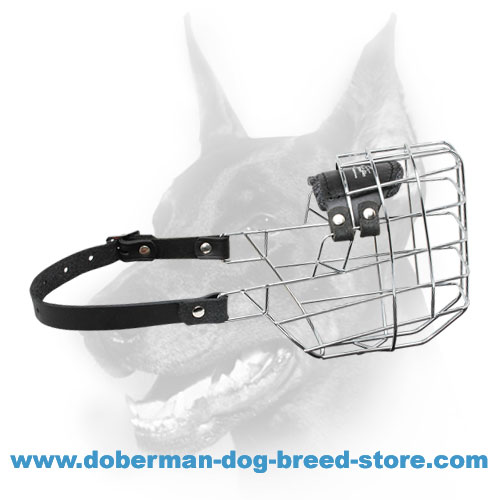 'The Silencer' Wire Cage Doberman Muzzle With One Strap