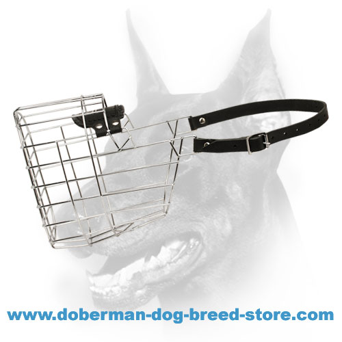 'The Silencer' Wire Cage Doberman Muzzle With One Strap
