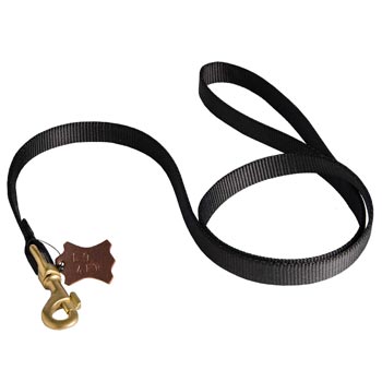 Walking Doberman Leash