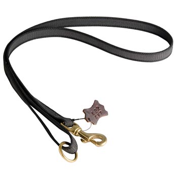 All Weather Nylon Leash for Doberman Walking