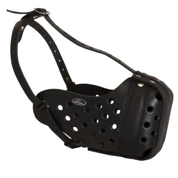 Training Leather Dog Muzzle for Doberman