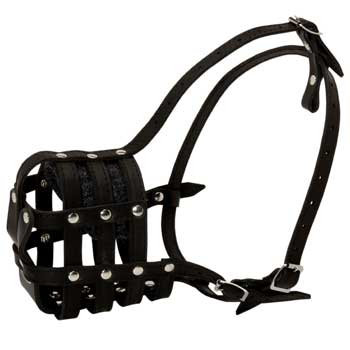 Doberman Muzzle Leather Cage for Daily Walking