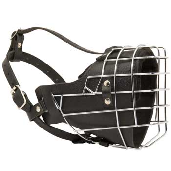 Padded on the Nose Doberman Muzzle